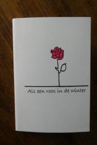 Als een roos in de winter