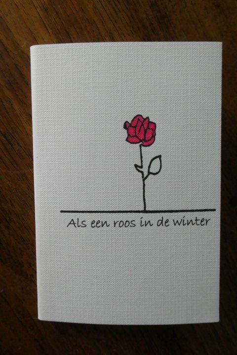 Als een roos in de winter