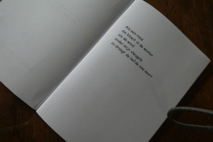 Als een roos in de winter