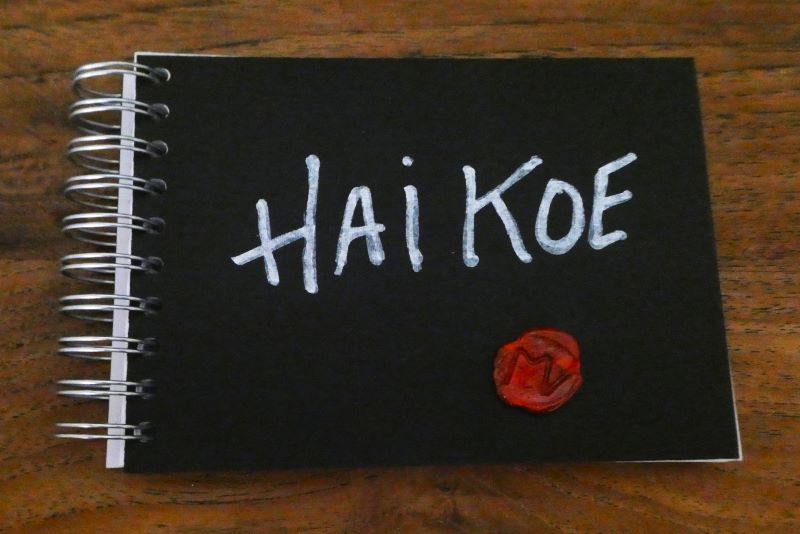 HAI KOE